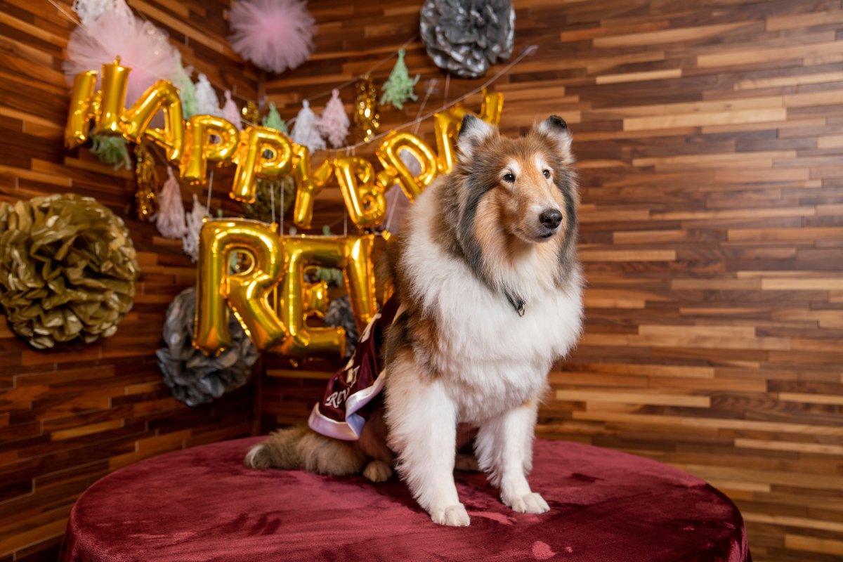 Reveille X tweet media