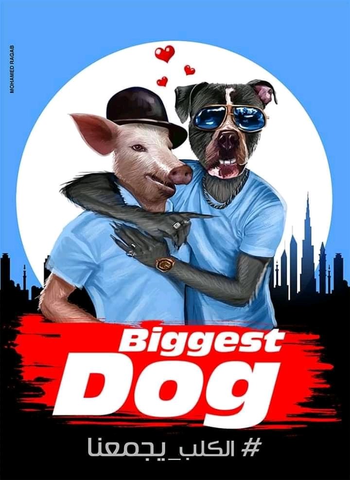 ودي صوره كلب الشهره مع الكلب الصهيوني الحقير #محمد_رمضان_صهيوني