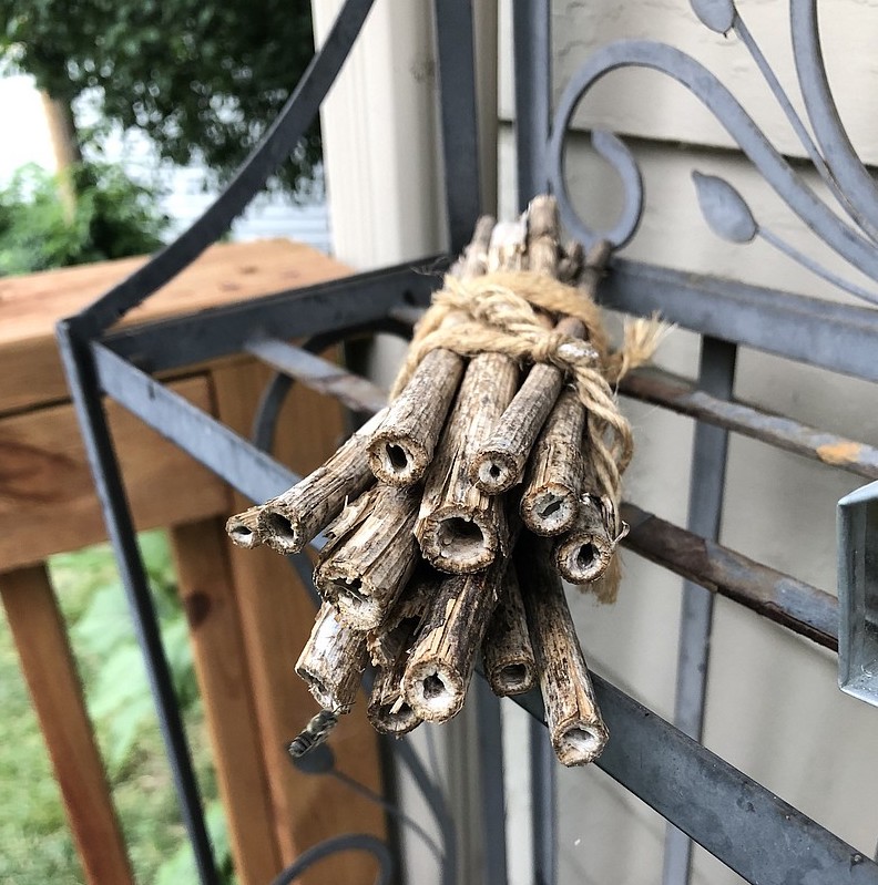 FeedTheBees's tweet photo. Day 325 ~ Building for bees

On balance, #bee houses offer a great way to invite this hidden universe into your landscape. At the very least, putting a #beehouse in your #garden offers a constructive and educational distraction from pandemic blues.

https://t.co/GE9EVOyRQt https://t.co/tubuBchgoN
