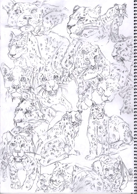 寝る前drawing 