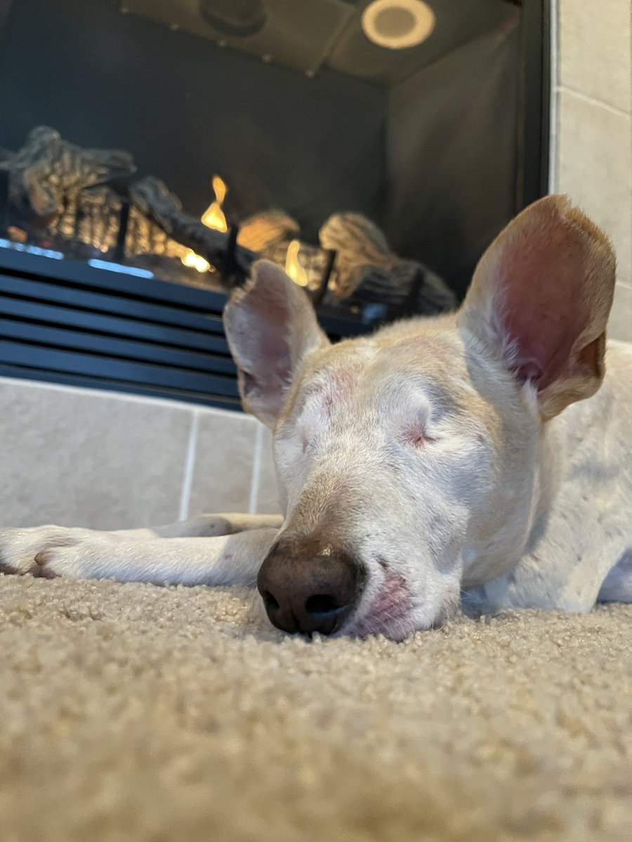 Gotta love roasting by the fire on a chilly morning!