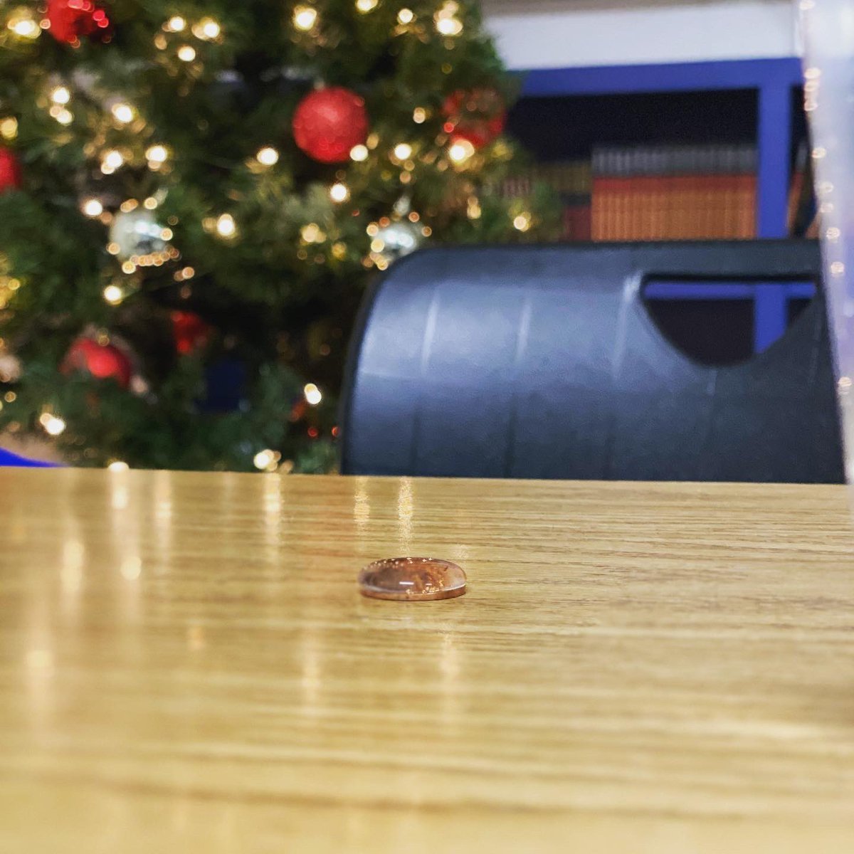 Mariah Warne tweet media