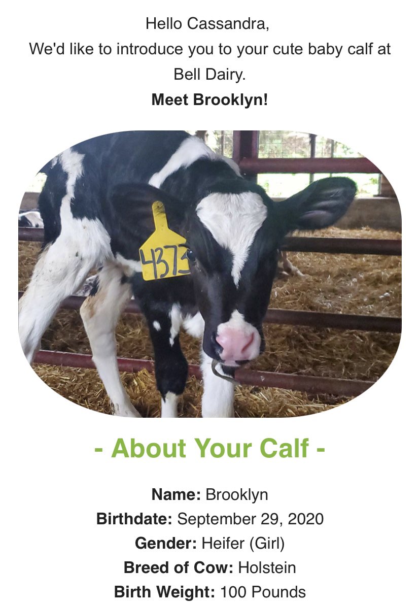 Cassandra Allen tweet media