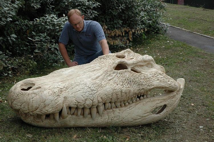 GatorsDaily's tweet photo. I'd still pet it https://t.co/iGZ33VwZML