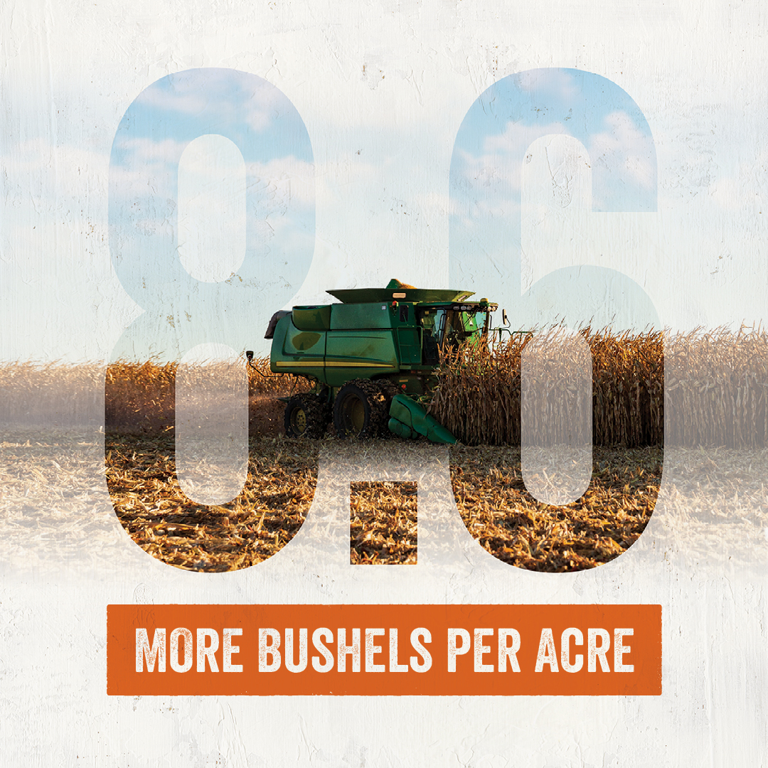 #GoldenHarvest® G10L16-3330A brand outperformed Pioneer P1197AM by 8.6 bushels an acre. Contact your Seed Advisor today. 

For more information regarding yield comparisons against an individual product, talk to your Syngenta representative.