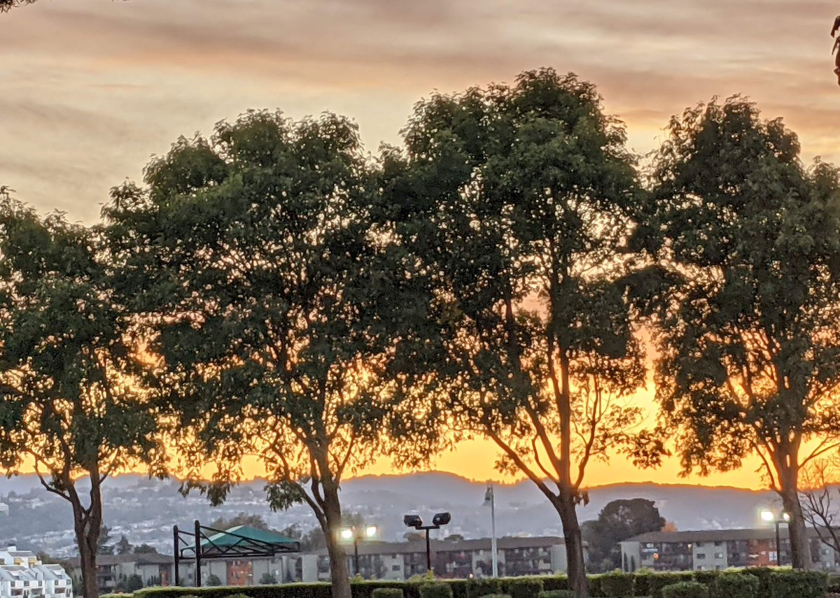 pani5ue's tweet image. Foster City