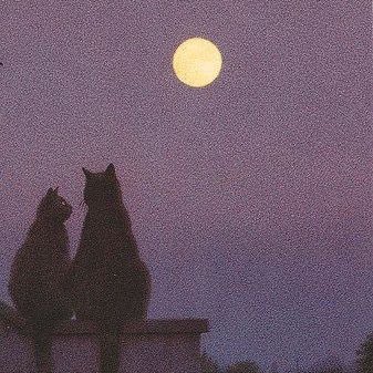 lambui91120's tweet photo. ❤️     #ArtistOnTwitter https://t.co/CK40TcI8ah