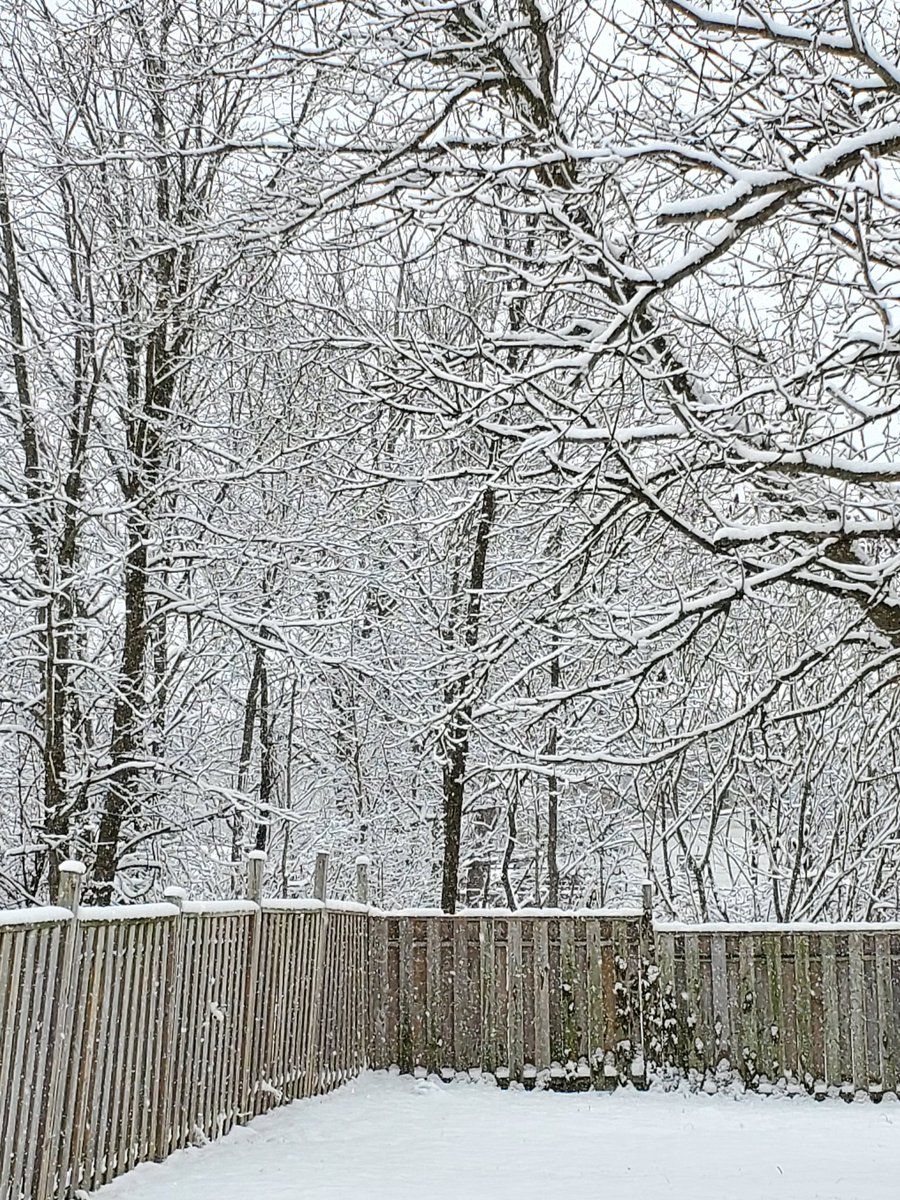 It's a Beautiful Day in the neighborhood! #WINTER #Canada #ChristmasIsComing