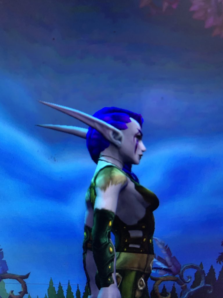 Mellea16's tweet photo. My new look since I have left Anduin and Stormwind behind https://t.co/NmY1LdCskt
