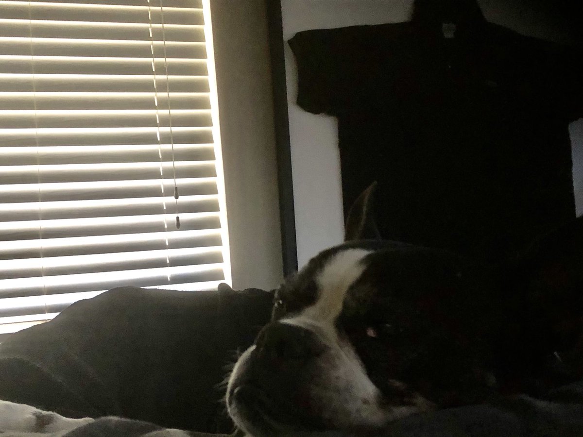 Ian Punnett, Deacon of the Dark tweet media