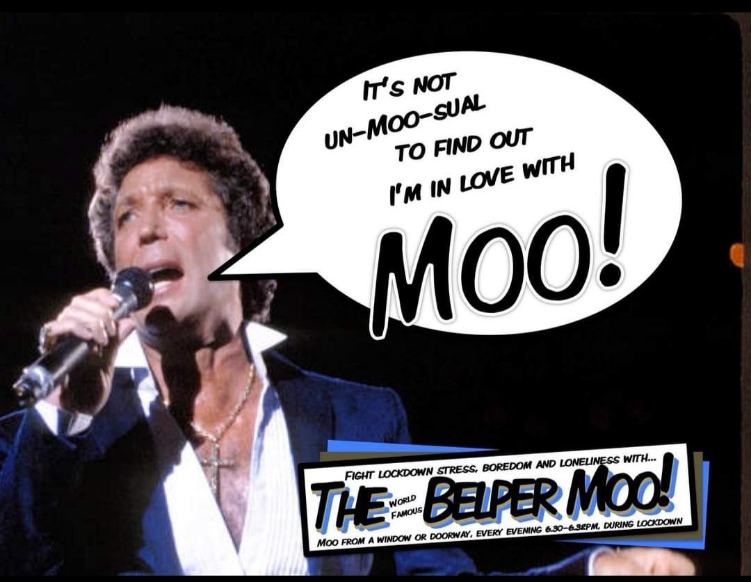 thebelpermoo's tweet photo. I don't know about you but I am so very much feeling the love still! 
It churns my butter to hear you all going for it! 
See you at the usual time my herd! My
#thebelpermoo #thegreatbritishmoo #lockdownmoo https://t.co/i8eBWqP0p2