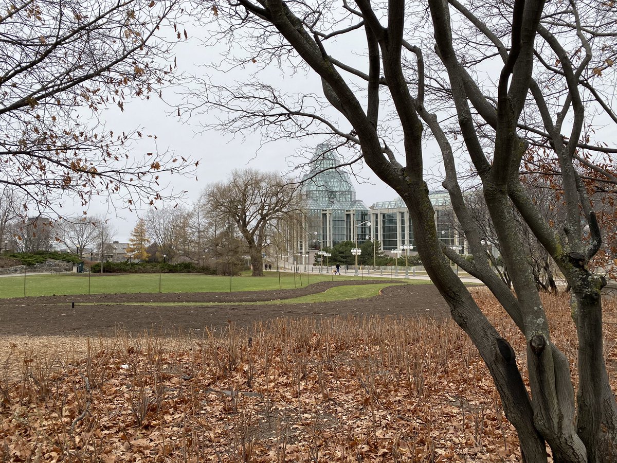 greystone75's tweet photo. Pictures from my run this morning. Easy run feels great. #longtimerunner #runningisagift https://t.co/mnEvPRGv19