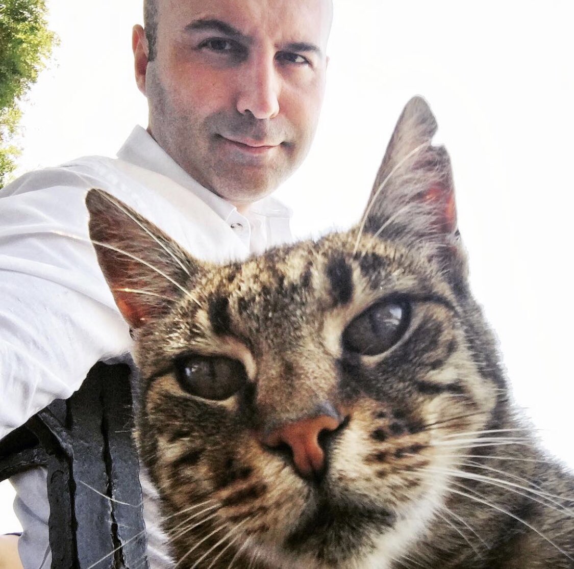 tugrulcolakoglu's tweet photo. @rehavimehmet @srdrkahraman https://t.co/XtAXb1VcaE