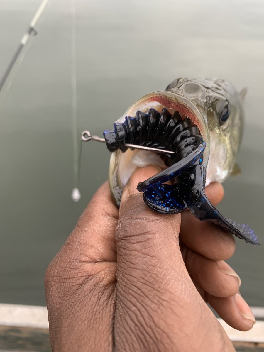 Lil guy was hungry <a href="/gamblerlures/">Gambler Lures</a> 
•
•
#fishingthe_610 #fishinghancock #gamblerlures #uglyotter #pafishing #pabass #pabassfishing #paviews #bass #bassfishing #blackbass #bigbassfishing #fishing #fishinglife #fishinglifestyle #outdoors #outdoorsman #outdoorslife