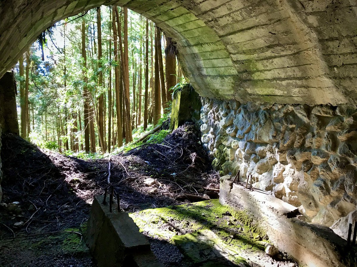 おさじん En Twitter 順に 大杉谷森林鉄道 持越鉱山 浅野セメント二俣尾専用線 屋島登山鉄道 様々な規格の鉄索跡を登った先に待ち構える遺構たち