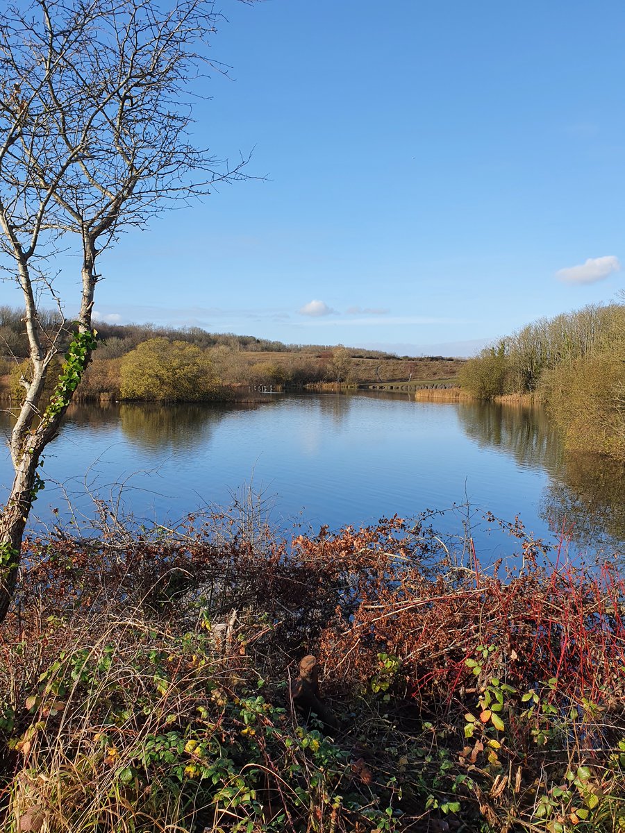 LeadinginWales's tweet photo. #cosmestonlake today! Its been two months since I last wandered around the lake! #Cardiffrestrictions #lockdowns #carbreakdowns collectively have been #confining - good to have a sunny day and enjoy a different #vista https://t.co/pwdYiNhM88