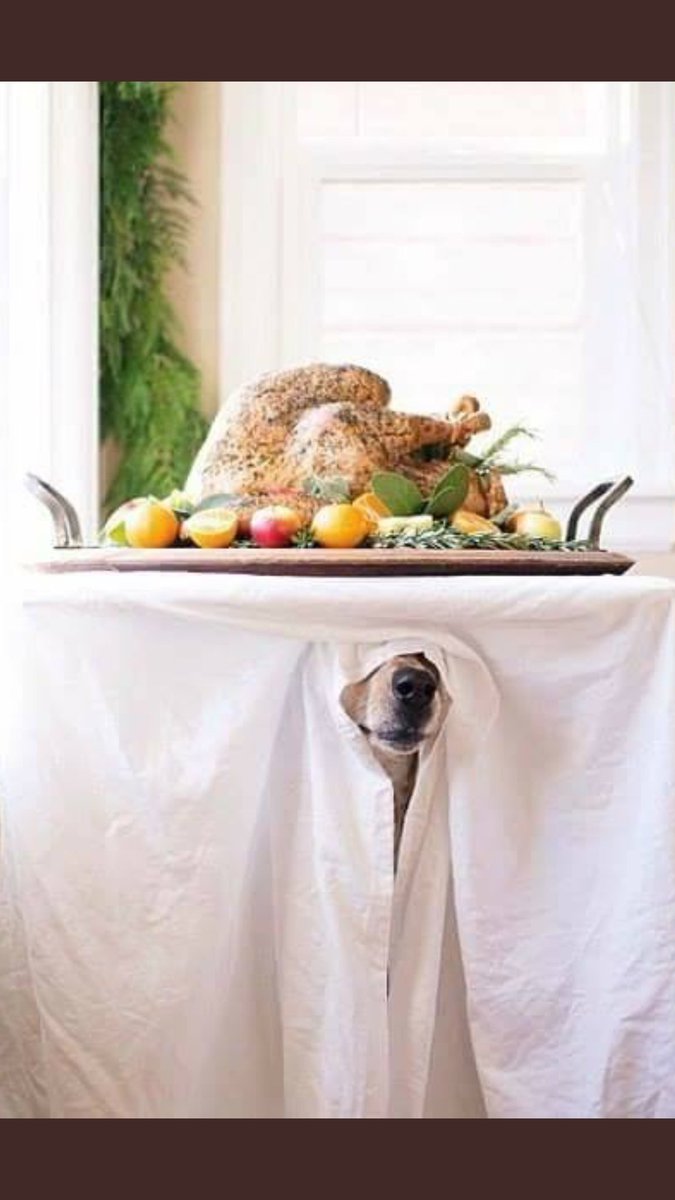 taft_jenny's tweet photo. Be sure to bring up politics at Thanksgiving this year, to save on Christmas gifts.😂 #SundayThoughts #Thanksgiving2020 #Christmas2020 https://t.co/CpwiqSIbK5