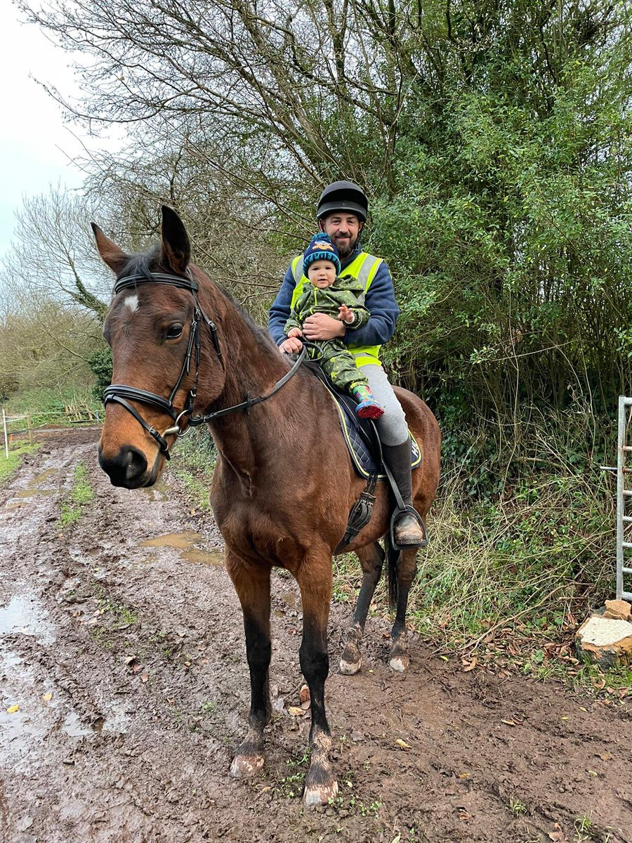 Delling17Mike's tweet photo. This is such a sweet natured mare, who ever gave her her first education before she went racing deserves a medal! #truelady @RebeccaEMenzies #Teelar #inca #milanmare https://t.co/vQ9cOgMYhN