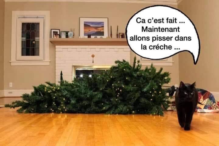ROSSINIC3's tweet photo. @minijoe_ Suite https://t.co/nS8X6RBCAo