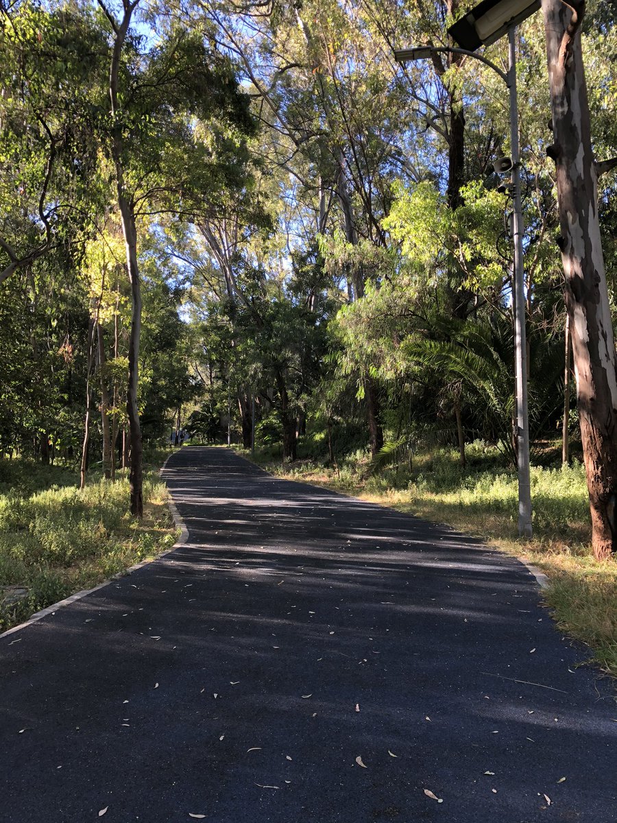 verorunner's tweet photo. Que buen paseito dominguero de 17 kms, oficialmente de vuelta a las andadas largas!!!

¡Buenos Días! 🥞☕️

@LoveRunSmile @logrartusmetas @EntreRunners #CorrerEsMiPasion #corrermehaensenado #YoElegiCorrer #FelizDomingo #BuenDomingo https://t.co/Akn3GwaPXY