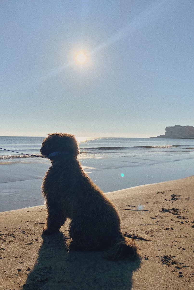 Dejo estas fotos de la semana pasada con mi mejor amiga en la playa y me voy