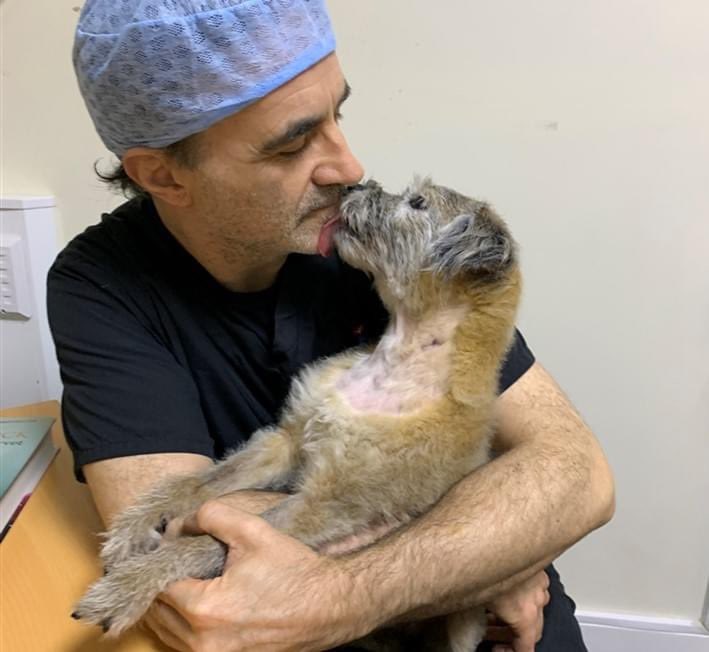 ProfNoelFitz's tweet photo. I am pleased to say that Keira is making slow but consistent progress - it is amazing to see her returning to her normal self. Thank you for your love and compassion throughout these last few weeks x https://t.co/U5cewKG5k8