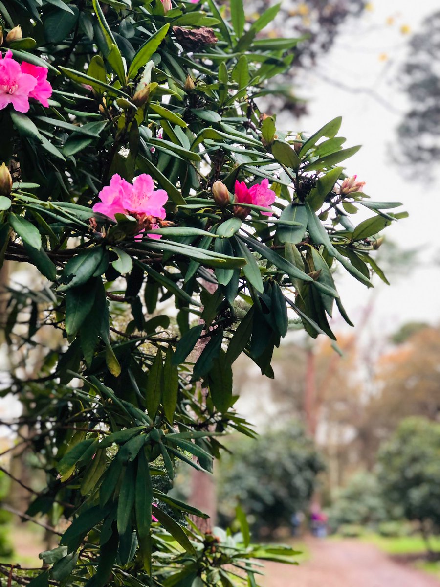 NorthNorfolk's tweet photo. Lovely visit with nature at @SheringhamNT this weekend, followed by takeaway lunch from @ericsfandcholt, collected on the way home 🙌

#EnjoyNorthNorfolk #Lovelocal https://t.co/yZ1n0suTKw