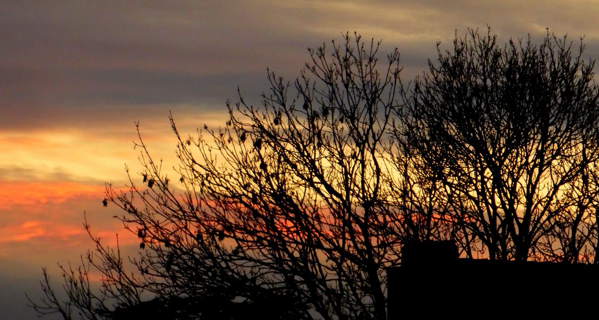 NadiaCasier's tweet photo. #veurne  #mooieluchten
Veurne, deze avond https://t.co/nMJkVO0vcu