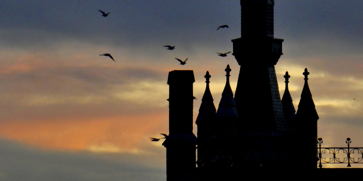 NadiaCasier's tweet photo. #veurne  #mooieluchten
Veurne, deze avond https://t.co/nMJkVO0vcu