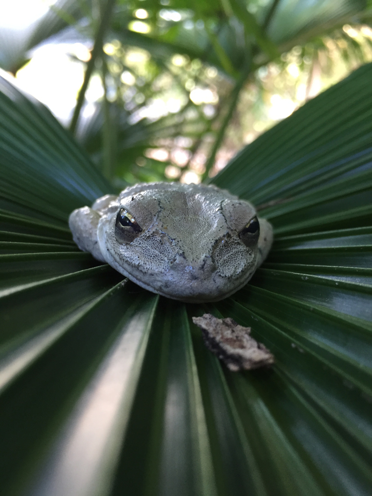 imagemaker89's tweet image. .....bring it on!

#imagemaker89 
#fortlauderdalephotographer 
#eventphotography   
#photographer 
#ftlphotographer
#localphotographer
#clay_h_wieland
#cwpinfraredimages
#claywielandphotography
#fortlauderdale