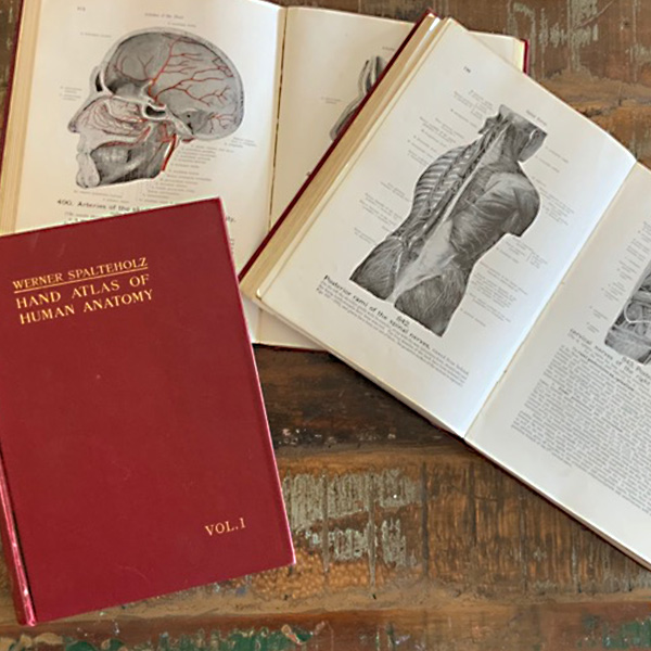 TrustVesalius's tweet photo. Sue Seif has donated Spalteholz's Anatomy set to the Vesalius Trust online auction at 32auctions (11/16–11/23). Place a bid to help raise scholarship money for students studying health science visual communications!

https://t.co/LJQhMf17hB 

#VT2020vision #medart #sciart https://t.co/b6wyT0JXKs