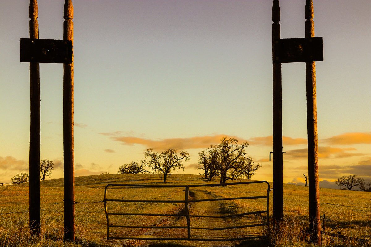 tedfletcher's tweet photo. Turn off the paved road . . .
#nature #clouds #dirtroad #photograghy #rural #sunset #sky #country #pasorobles #winecountry #paso #visitcalifornia #soslocal #sanluisobispo #slocounty https://t.co/C4vhvhDBTs