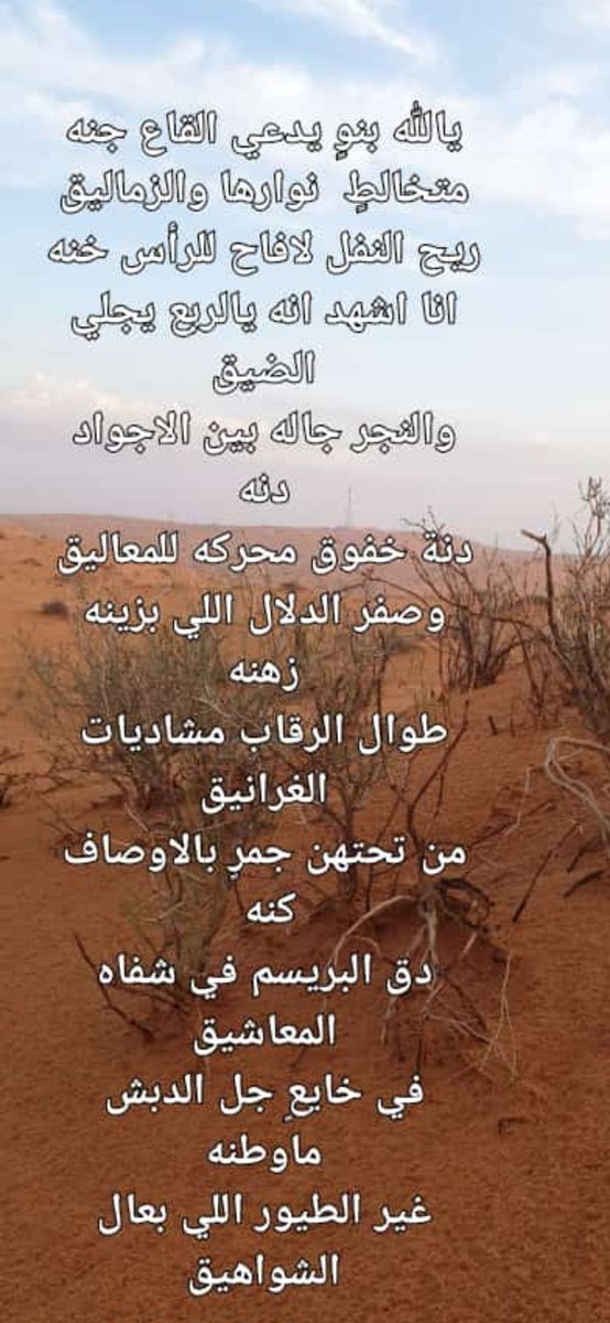 ibra_alshmsan's tweet photo. https://t.co/7hcAk2zSUv