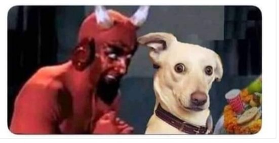 Maria_Alonso_R's tweet photo. Todas las mañanas 😔
Chingate un pan y al rato lo desquitas corriendo... jajajajaja 🤣😂🤣😂 #YoElegiCorrer #correVIVEsiente #TemploRunner #marathorunner #CorrerEsMiPasion #runners #entrerunners #somosmaslocos #meencatacorrer #corroamipaso #comuniRunners #corredores_MX #Correr https://t.co/mEUX4i87AX