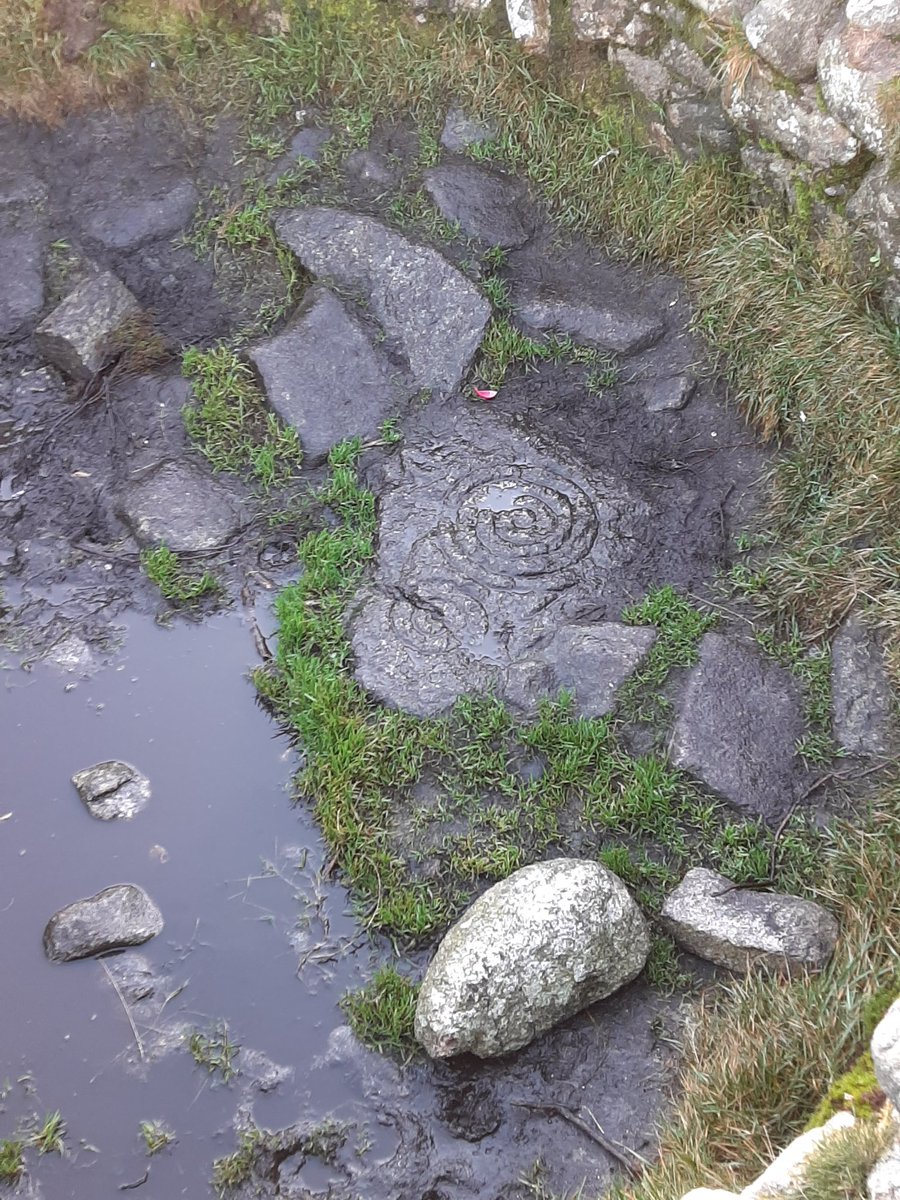 Fiona_Corless's tweet photo. Circle of ancient life. The reward for a hike up Tibradden Mountain. #prehistorictreasures #dublinmountains #thepastinthepresent https://t.co/IkQwZ414sI