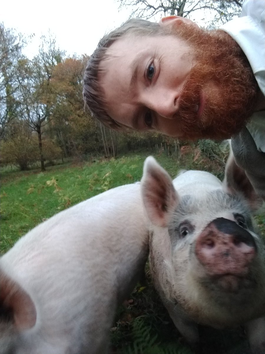 I hate it when visitors turn up at work (@EHOsborneHouse) without a ticket! I did try to tell Snowball & Squealer the benefits of @EnglishHeritage membership, they didn't seem interested. The farm next door came and took them home. Welcome to a day in the life of a heritage site. https://t.co/bnBUit5OlC