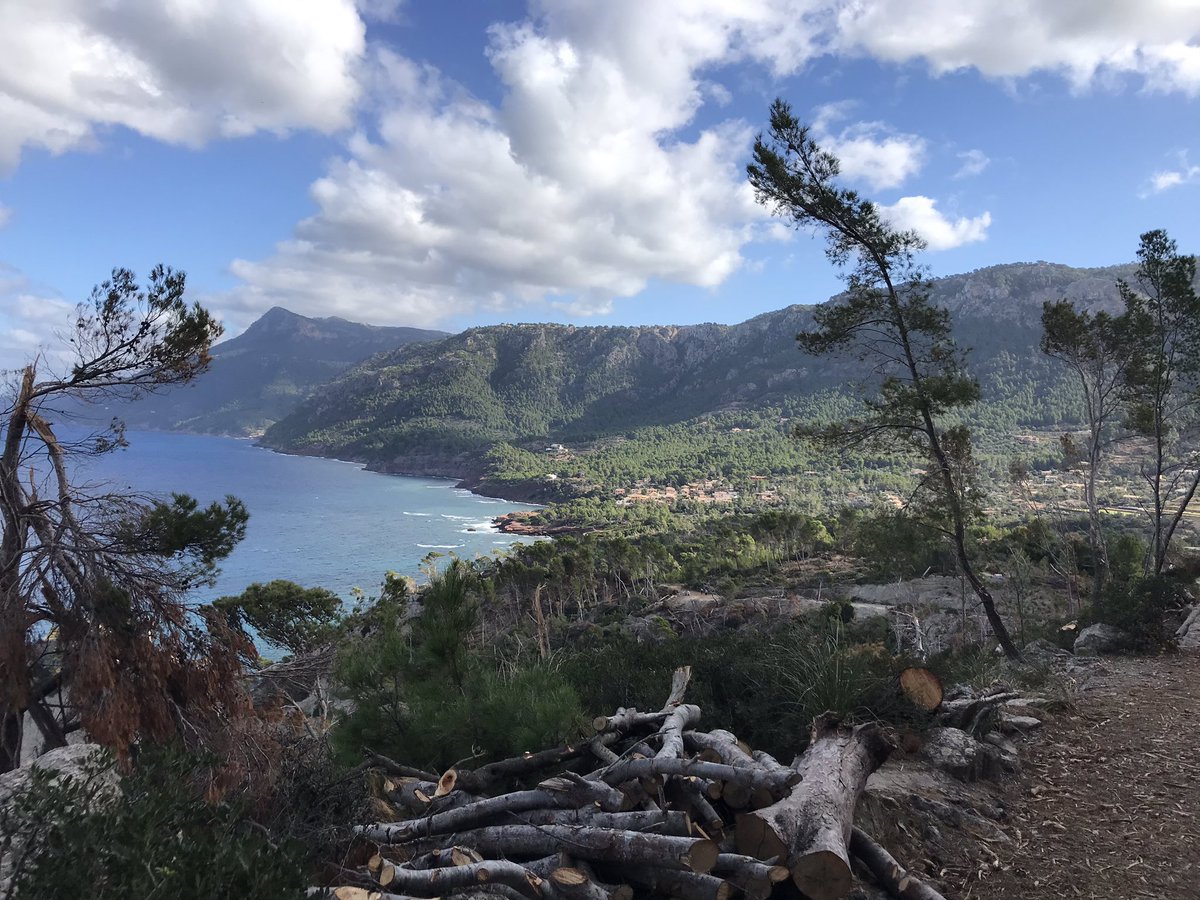 inma1026's tweet photo. Avui d’excursió a Banyalbufar! Hem pogut disfrutar d'unes vistes impressionants i a la fi de la ruta hem dinat a la vora del mar. Molt recomenable! https://t.co/RGD0xQhcyh