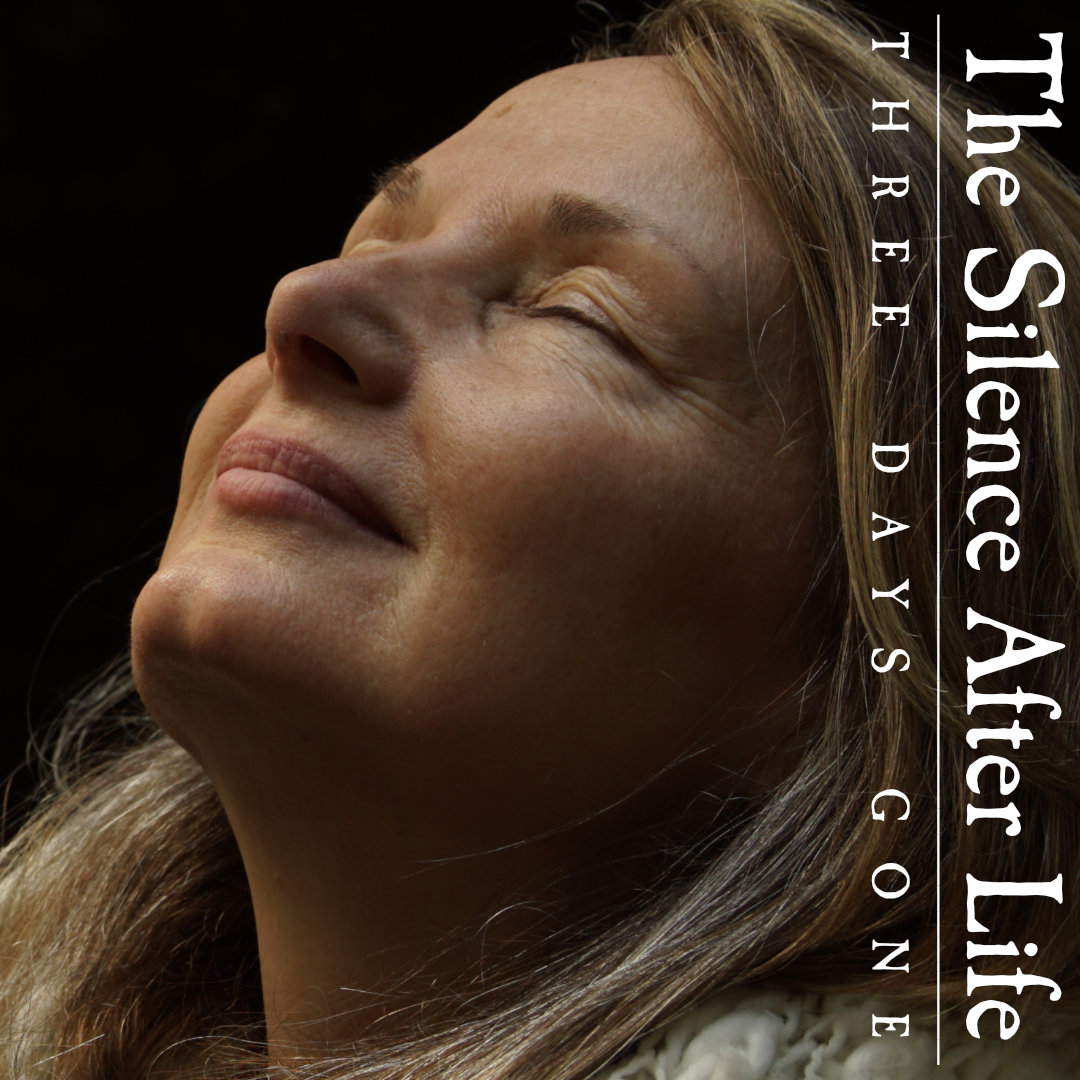 DanielThFreeman's tweet photo. Single "Three Days Gone" out now on digital - a taster from the feature film "The Silence After Life” due Nov 27:  https://t.co/ohlqmCTZhp

#thesilenceafterlife #harpmusic  #peacefulmusic #ambientmusic #folkmusic #filmmusic #ramesesiii #woodsmusic #danielthomasfreeman #filmscore https://t.co/AuxvM1UsEI