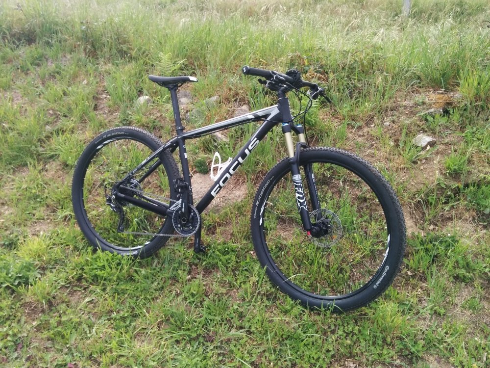 Robada en Lugo. Si la veis agradezco mensaje.