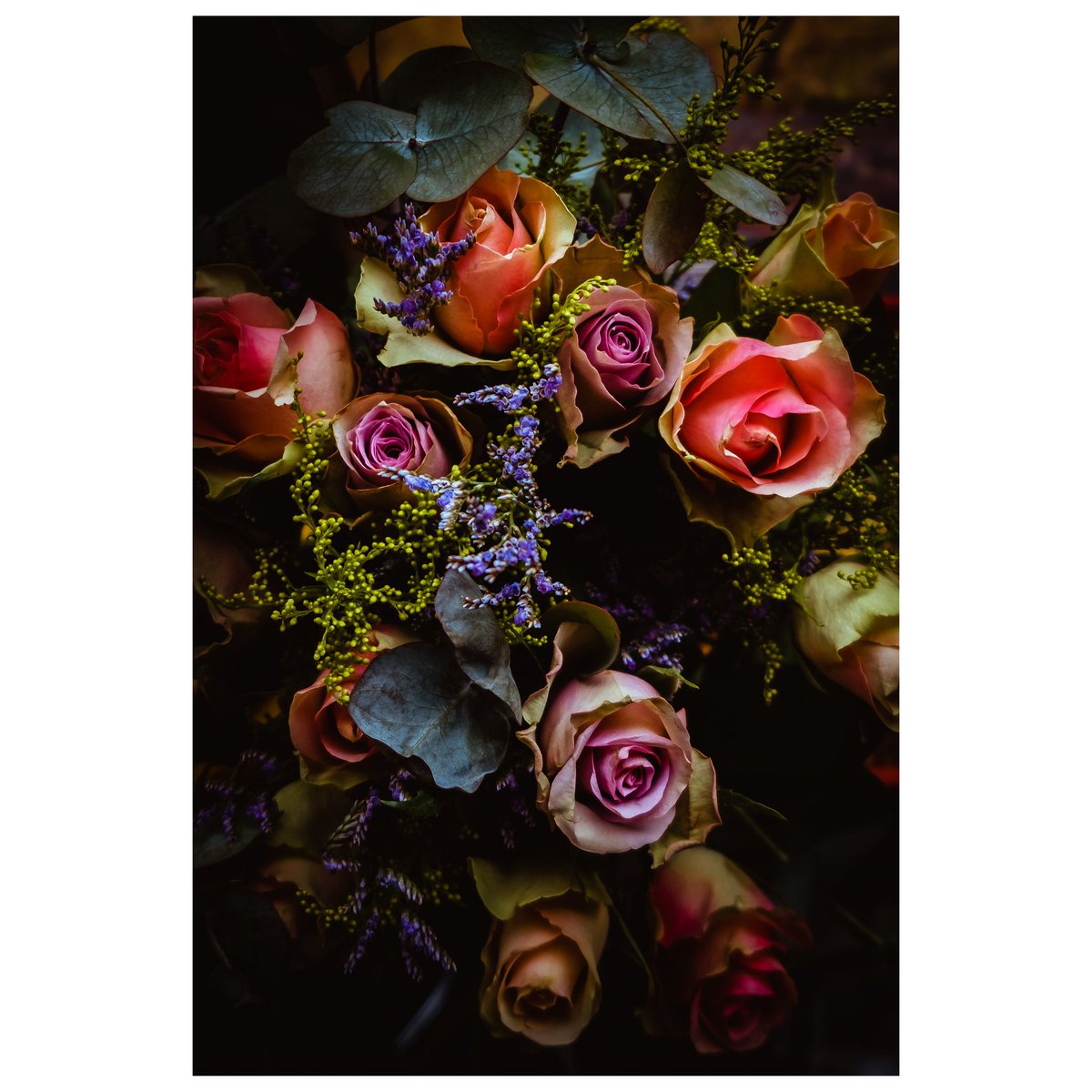 lexspedd's tweet photo. Its hard not being able to take the pictures that I want to - all the time! So I'm trying to practice &amp; learn &amp; evolve by snapping more varied shots &amp; how I edit them. 
#photography #lexsphotography #nevernotshooting #fujifilm_xseries #lightroom https://t.co/v3v9AU9TN1