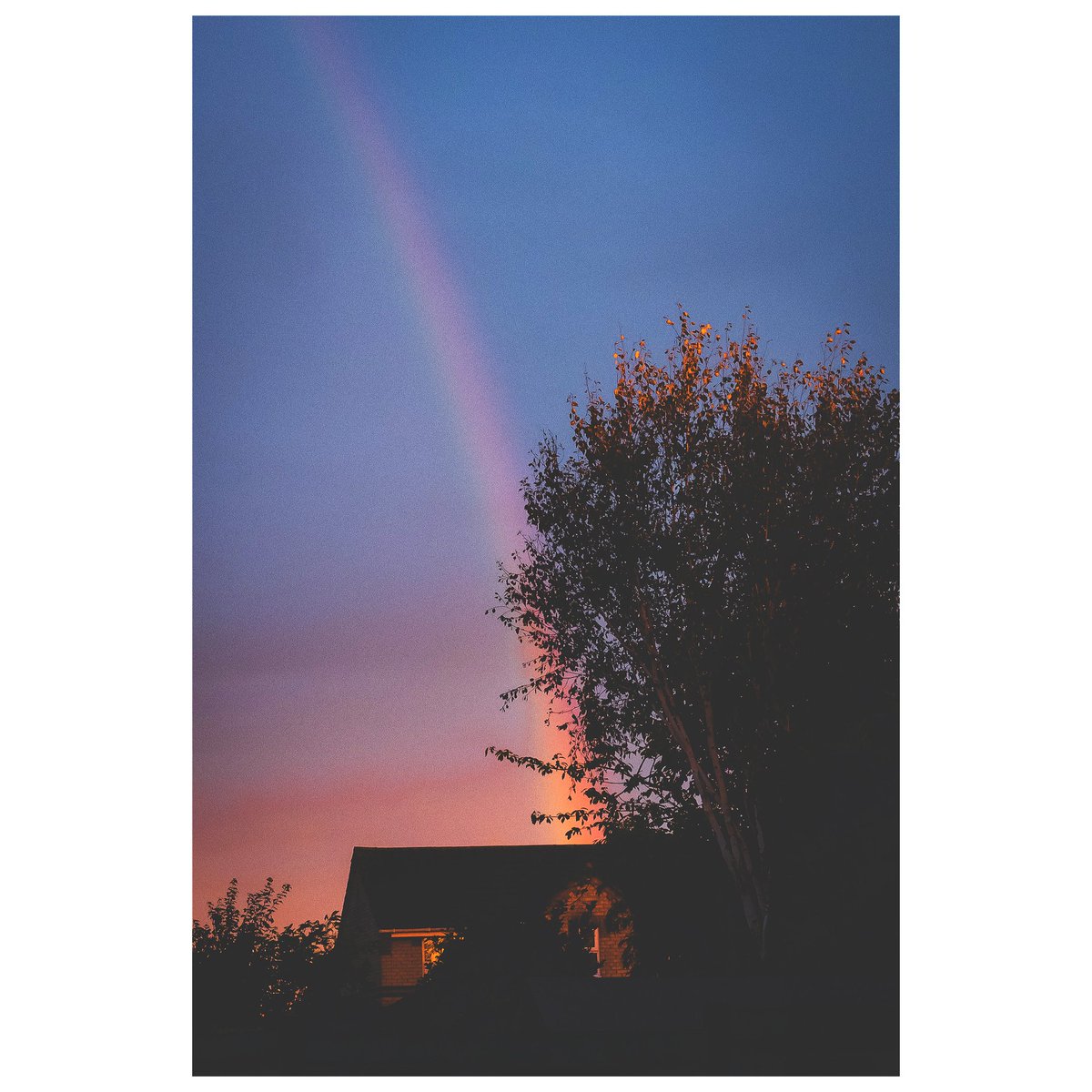 lexspedd's tweet photo. Its hard not being able to take the pictures that I want to - all the time! So I'm trying to practice &amp; learn &amp; evolve by snapping more varied shots &amp; how I edit them. 
#photography #lexsphotography #nevernotshooting #fujifilm_xseries #lightroom https://t.co/v3v9AU9TN1
