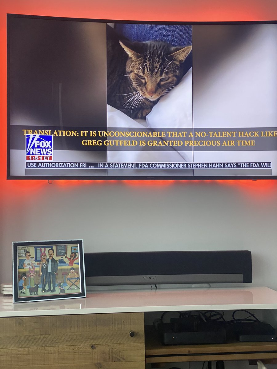 KatTimpf's tweet photo. Hey @greggutfeld, Cheens told me to tell you that you are welcome for his time & he is still waiting on his appearance fee #TeamCheens https://t.co/X6Lf7zJ7qK