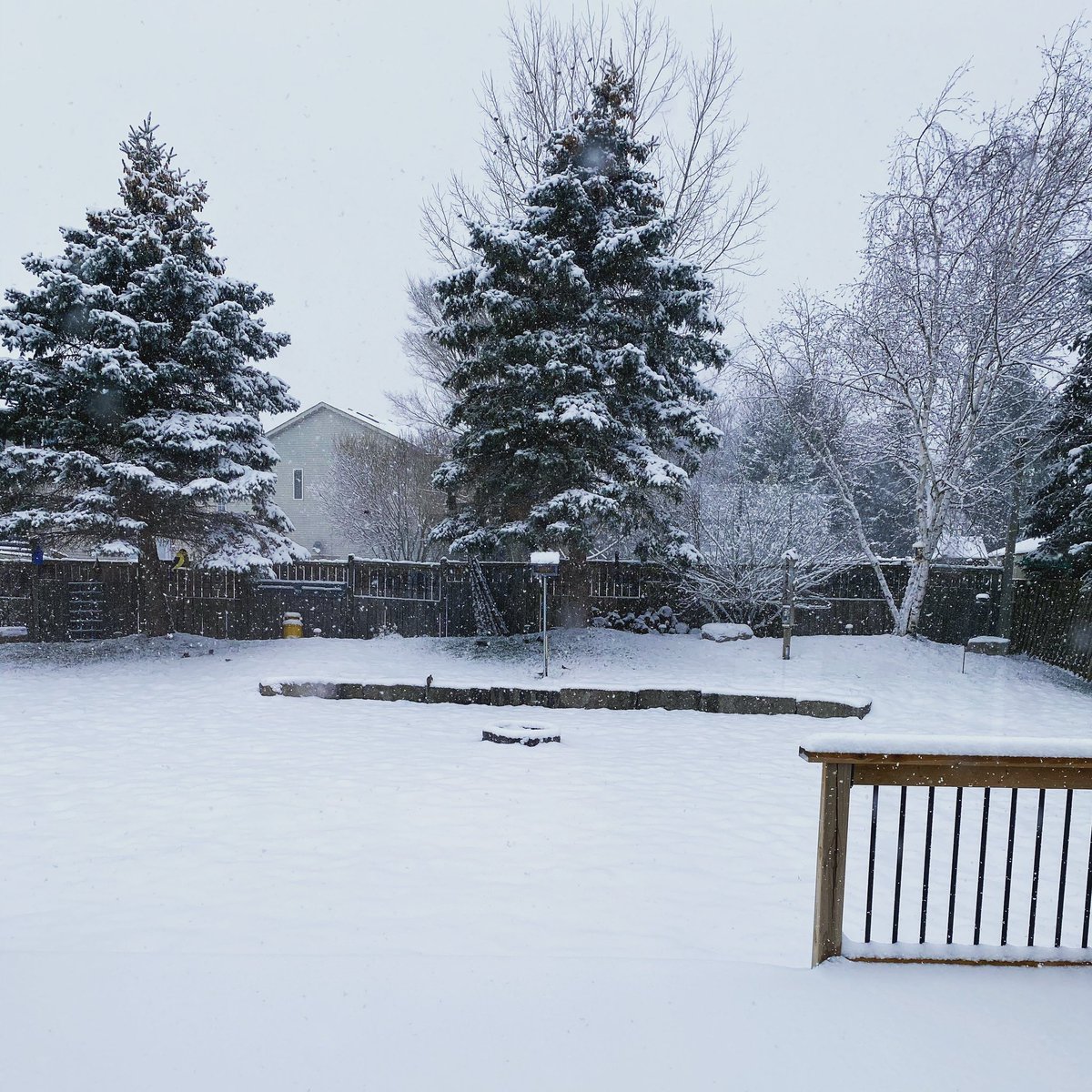 Winter Wonderland...snow just getting started in Wellesley 🥶 #snow #WinterIsComing #snowday