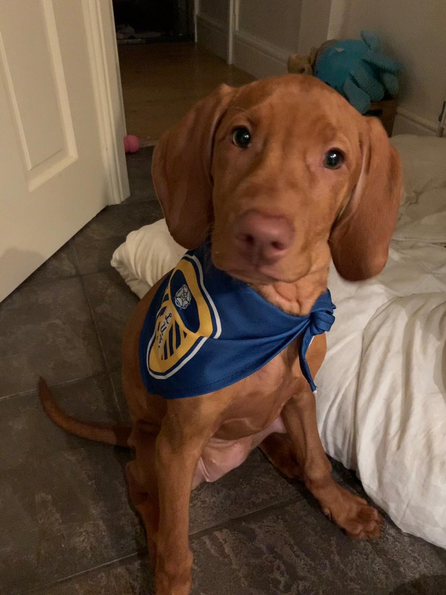 JoshDSmith94's tweet photo. MOT @LUFC 
#LUFC https://t.co/XoJLDqwYzo