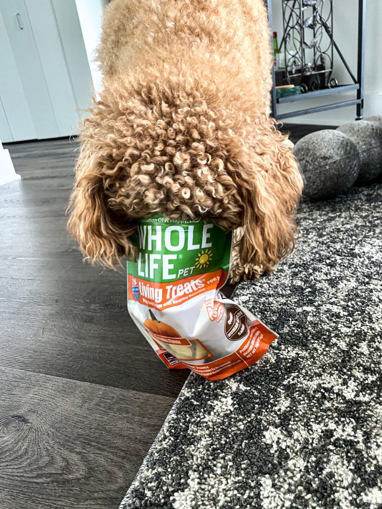 Care what you feed your dog? I do, and that’s why I love @wholelifepet ! All of their products are 100% Human Grade, and they also freeze dry their treats to prevent nutrient loss. Check them out...your pup will thank you!