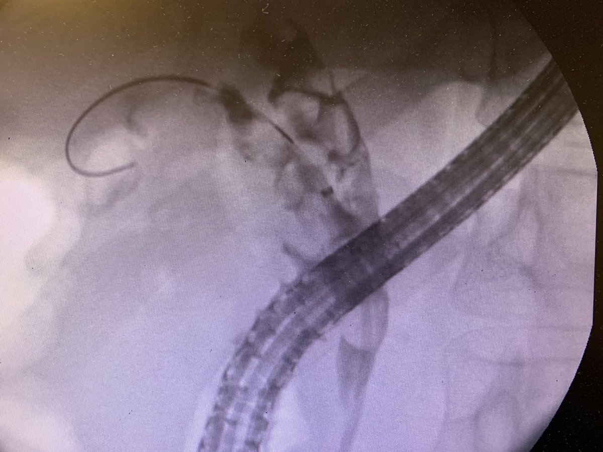 Shiva Jayaraman tweet media