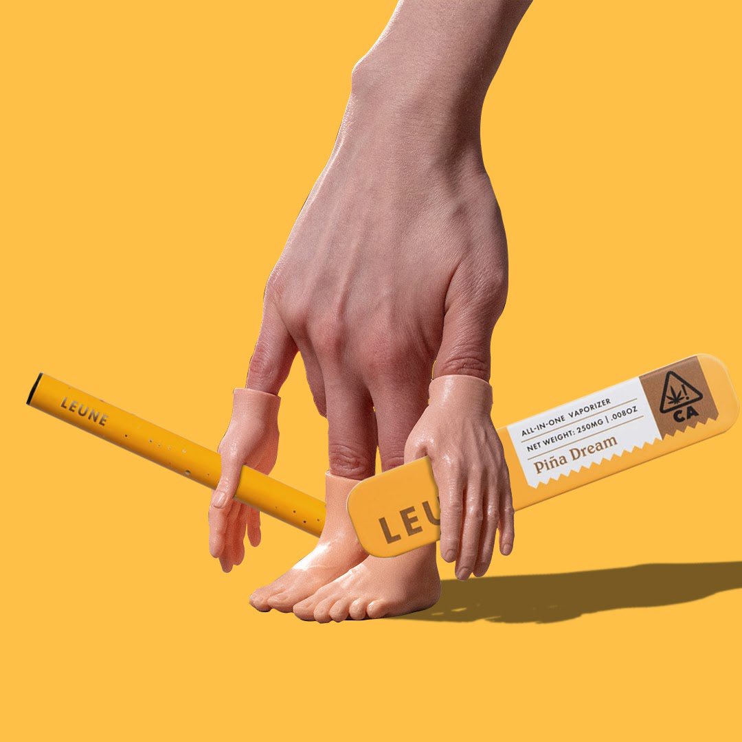 LEUNEbrand's tweet photo. 💛🌱Keeping this odd year in check.😉 #PinaDream #LEUNE #california https://t.co/7vDZfiCILg