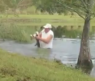 Complex's tweet photo. Video shows Florida man wrestling alligator to rescue his puppy: “He had one little puncture wound. My hands were just chewed up.”

Video/Story: https://t.co/uRFuVZMATG https://t.co/tMajCT4imx