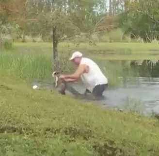 Complex's tweet photo. Video shows Florida man wrestling alligator to rescue his puppy: “He had one little puncture wound. My hands were just chewed up.”

Video/Story: https://t.co/uRFuVZMATG https://t.co/tMajCT4imx