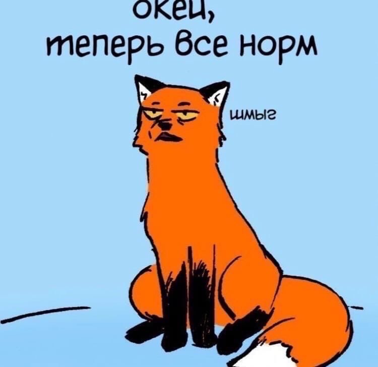 Ckatttttt's tweet photo. Минутная слабость выглядит вот так https://t.co/SUbBuwBD4T